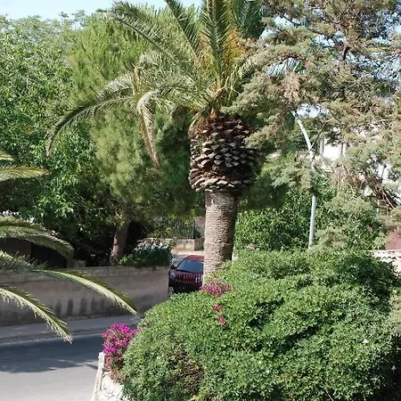 Hotel La Palma 4*
